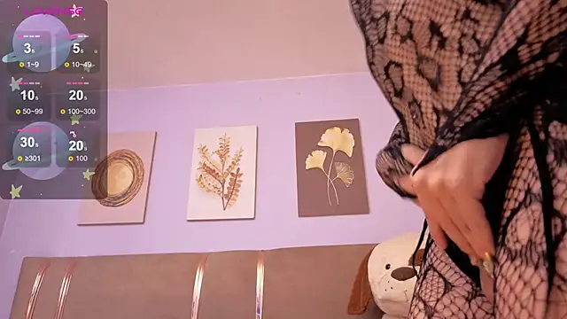 SALOME_F0X_ webcam