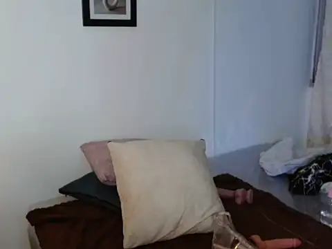 Evanss_lx webcam