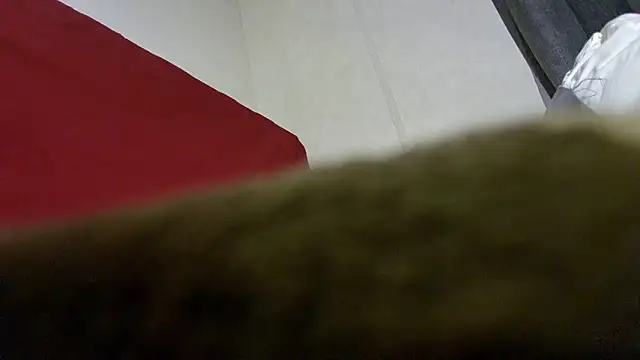 barebearstudio webcam