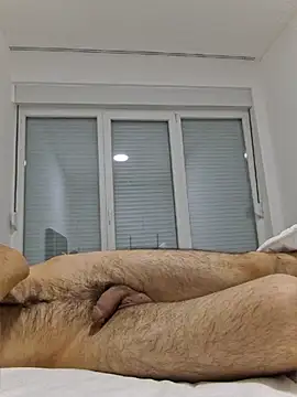 FrameBoy webcam