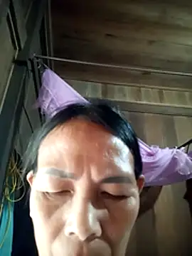toyo_668 webcam