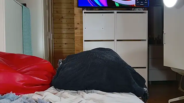 wild41 webcam