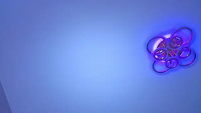 PerryKitty webcam