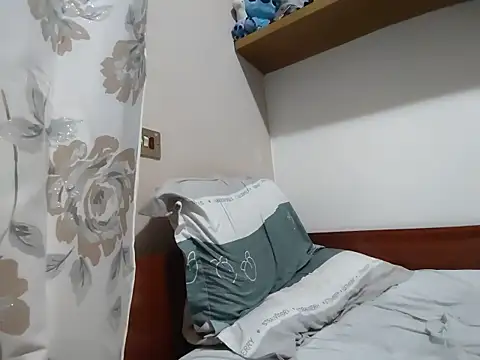 erdildo webcam