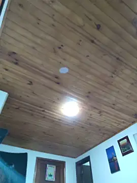 _Dr-Luna_1 webcam