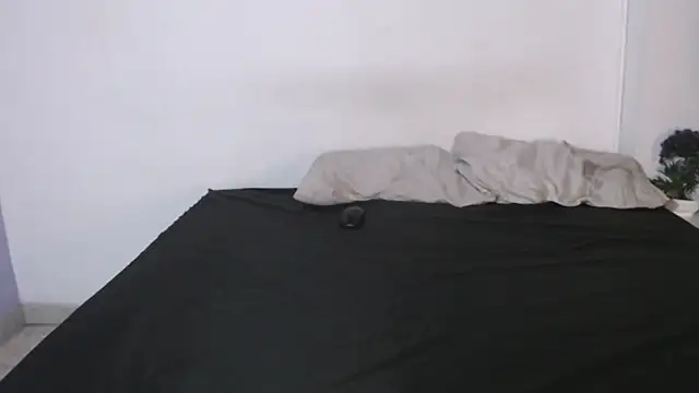 onixandghosty1
