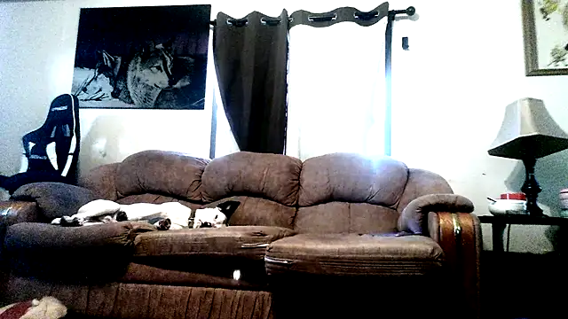 mayg webcam