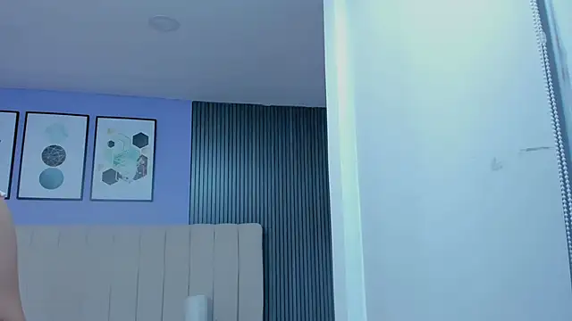hinata_dolly webcam