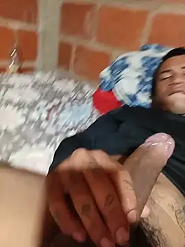 eldelmienbrogrueso webcam