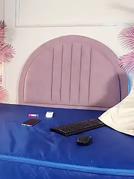 Nalapalmer webcam