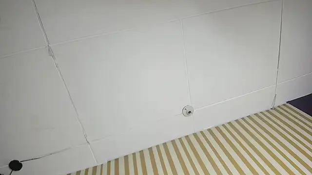 Mini_Rouse webcam