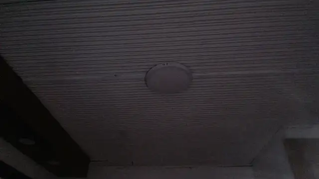 Milly_1_x webcam