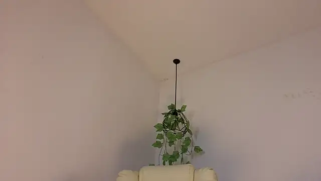 sofiesoft webcam