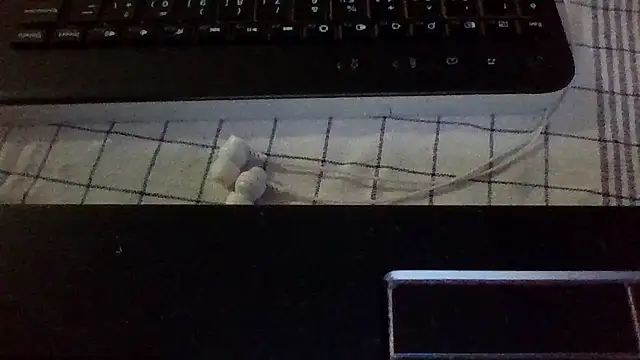 st206boy webcam