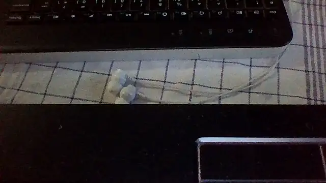 st206boy webcam