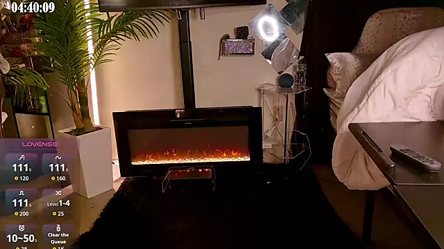 ES5EX webcam