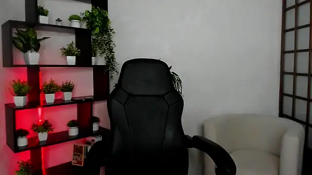 Ida_FaneStain webcam