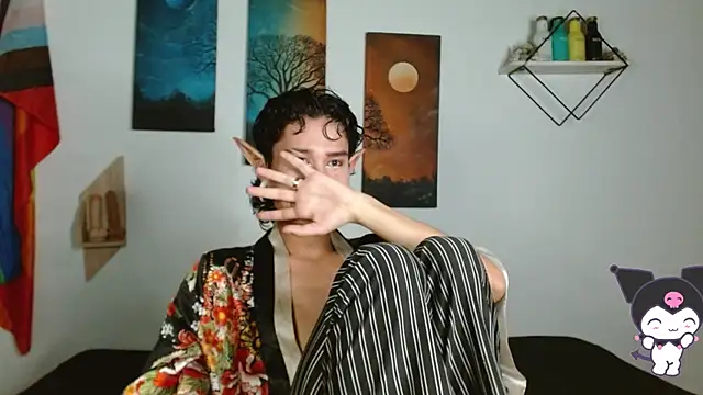nicolai_a webcam