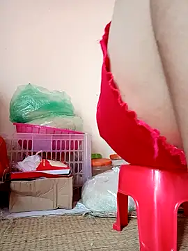 -Tara-a webcam