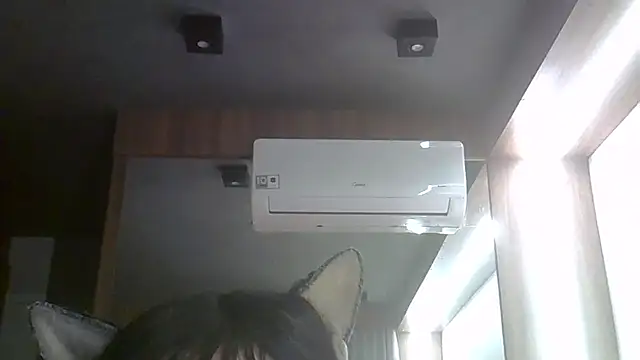 SkinnyKitten webcam