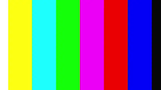 RoseSinsDonViktor webcam