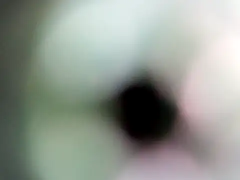 dustbunny64 webcam