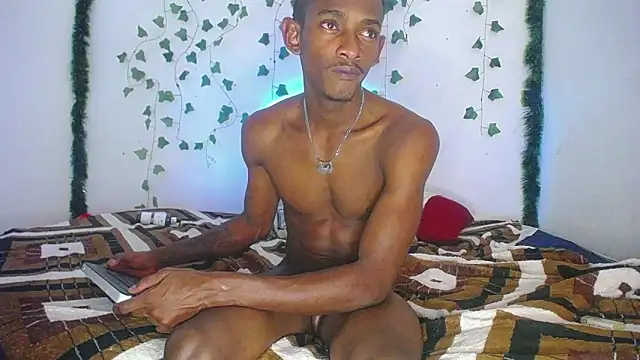 skey_12 webcam