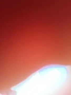 Funcouple0069 live cam