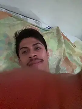 culitotragon24 webcam