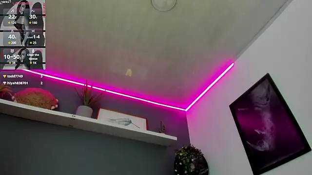 Abbyy_stone webcam