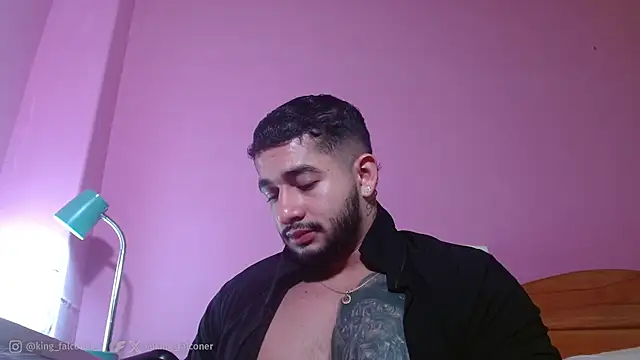 king_falconer webcam