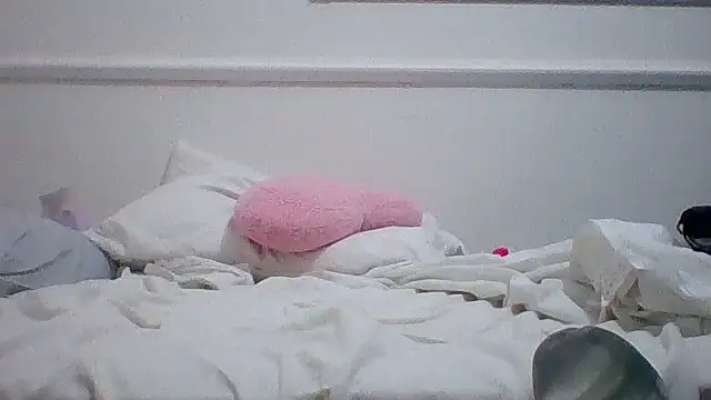 sue_safads webcam