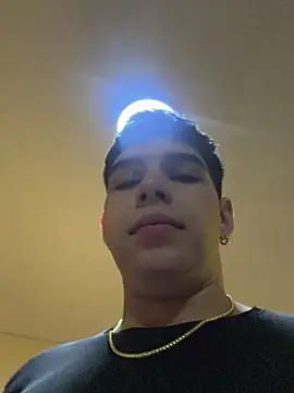 Johan_fire webcam