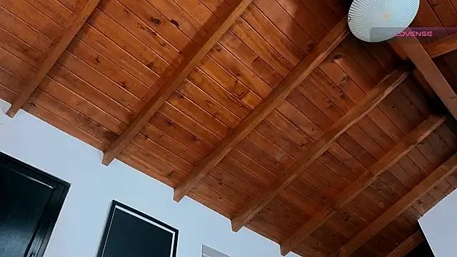 SilvaBranko webcam