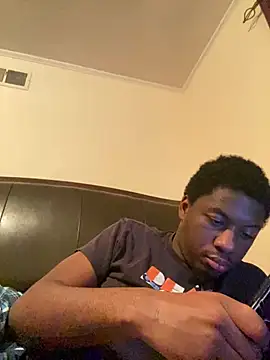 ThickDic28 webcam