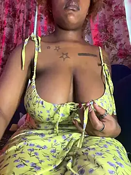 _Thirteen webcam
