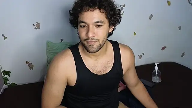 FreyrStyle webcam