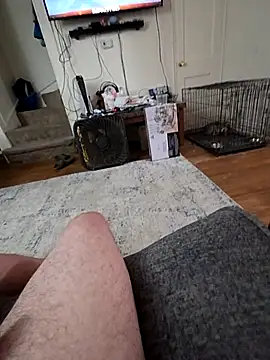 Tricky-Dicky webcam