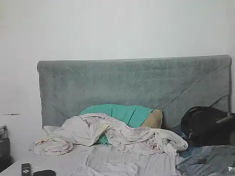 IronSideBear webcam