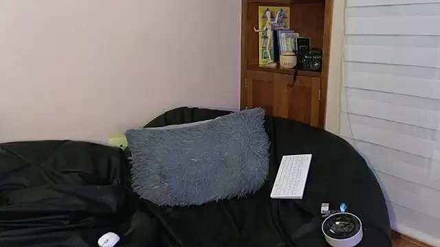 Derekswan webcam
