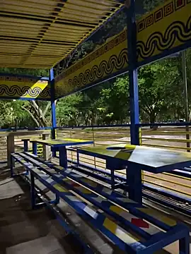 Datoka_adrenaline webcam