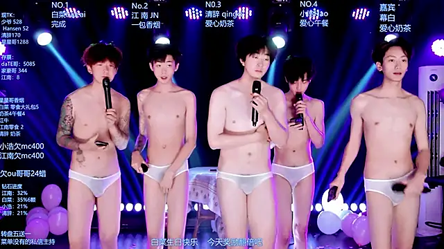AOA-MIC webcam