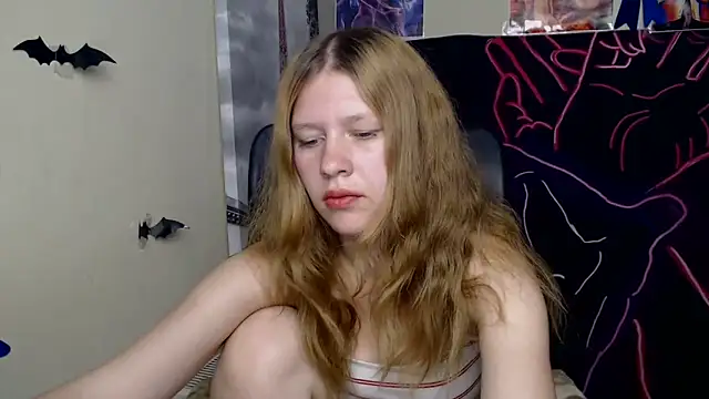 StellaCRL webcam
