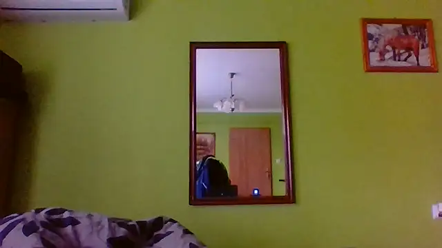 Tiger202441 webcam