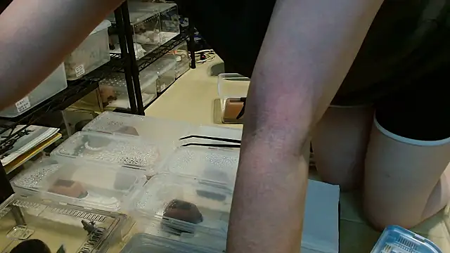 _Ema_ch webcam