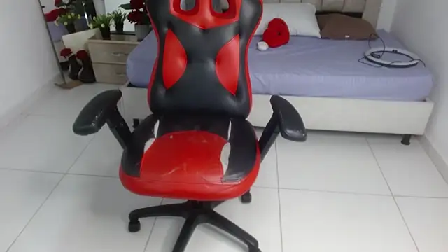Axel_fox77 webcam