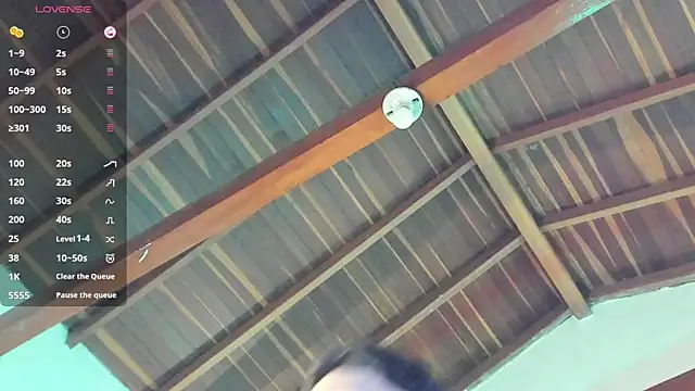 TonyPetrovjs webcam