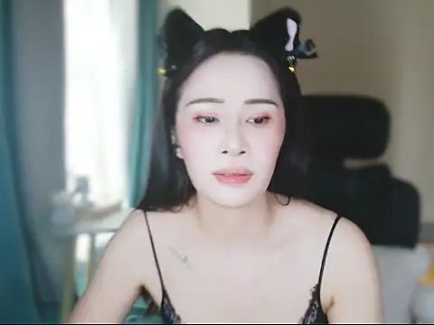 ccai-1758 webcam