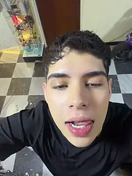 Johan_fire webcam