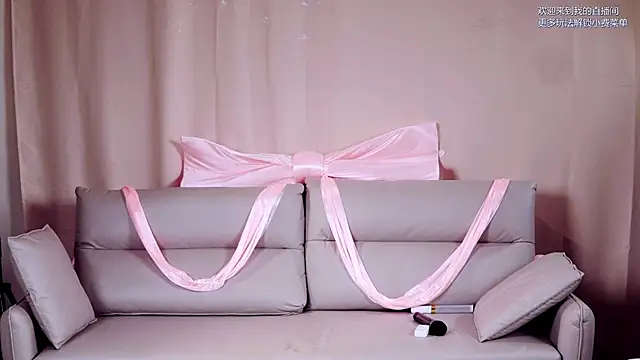 youyoulaie webcam